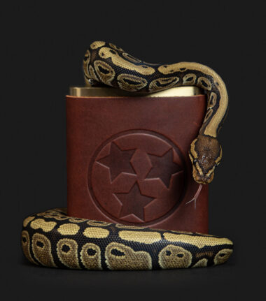 snake-ball python-whiskey-clarksville-TN